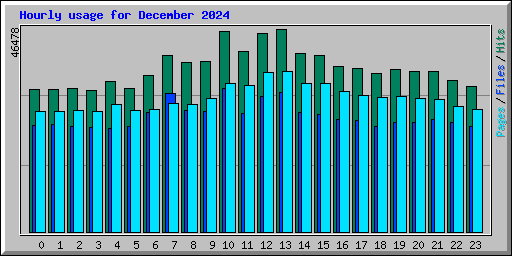 Hourly usage for December 2024