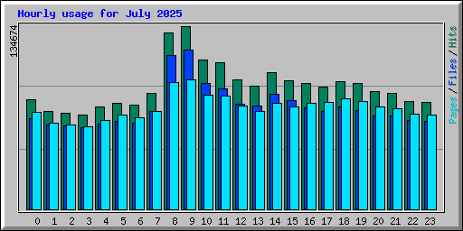 Hourly usage for July 2025
