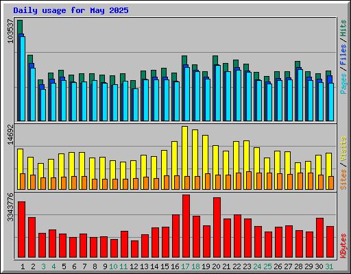 Daily usage for May 2025