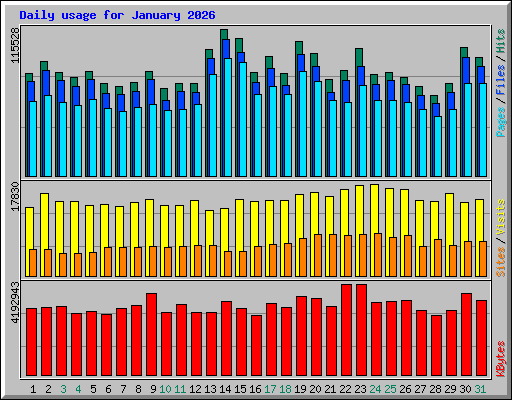 Daily usage for January 2026
