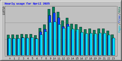 Hourly usage for April 2025