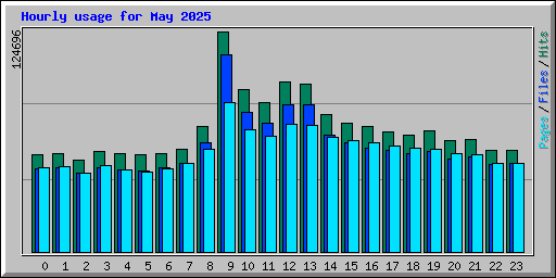 Hourly usage for May 2025