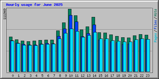 Hourly usage for June 2025