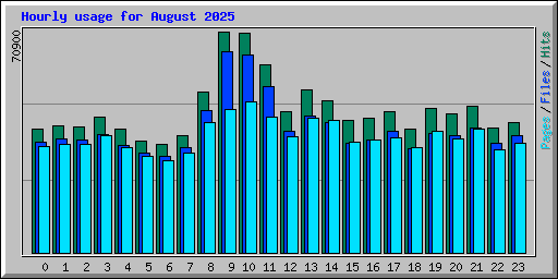 Hourly usage for August 2025