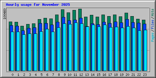 Hourly usage for November 2025