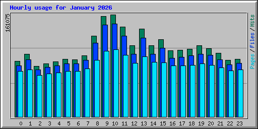 Hourly usage for January 2026