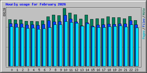 Hourly usage for February 2026